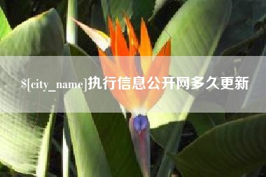 张家界执行信息公开网多久更新