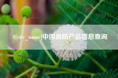 张家界中国消防产品信息查询