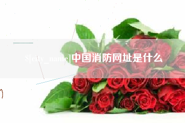 张家界中国消防网址是什么