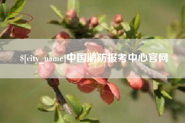 张家界中国消防报考中心官网