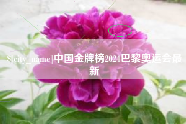 张家界中国金牌榜2024巴黎奥运会最新