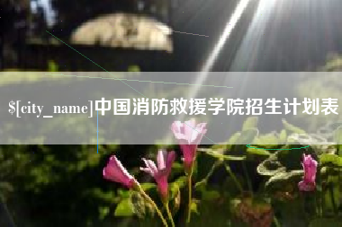 张家界中国消防救援学院招生计划表