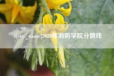 张家界2020年消防学院分数线