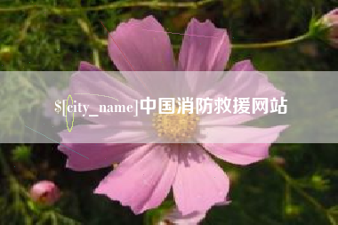 张家界中国消防救援网站