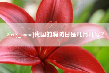 张家界我国的消防日是几月几号？