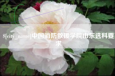 张家界中国消防救援学院山东选科要求