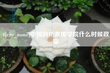 张家界中国消防救援学院什么时候政审