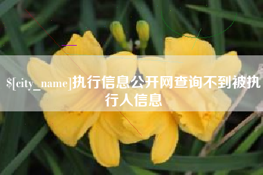 张家界执行信息公开网查询不到被执行人信息