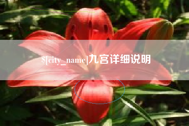 张家界九宫详细说明