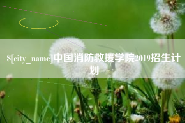 张家界中国消防救援学院2019招生计划