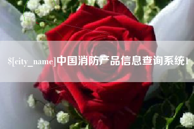 张家界中国消防产品信息查询系统1