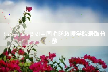 张家界2021中国消防救援学院录取分数
