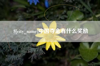 张家界中国夺金有什么奖励