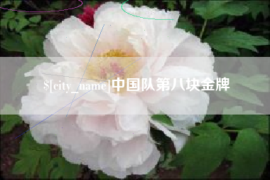 张家界中国队第八块金牌
