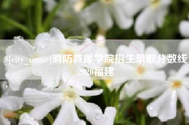 张家界消防救援学院招生录取分数线2020福建