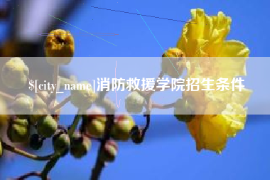 张家界消防救援学院招生条件