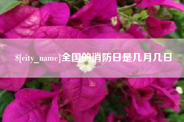 张家界全国的消防日是几月几日