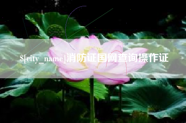 张家界消防证国网查询操作证