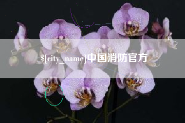 张家界中国消防官方
