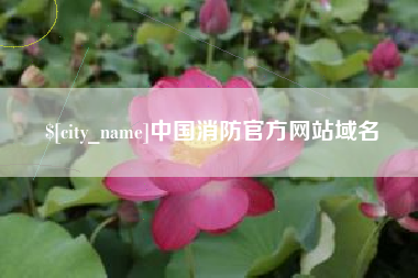张家界中国消防官方网站域名