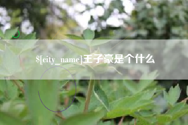 张家界王子豪是个什么