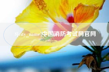 张家界中国消防考试网官网