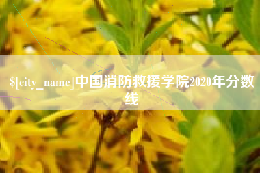 张家界中国消防救援学院2020年分数线