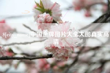 张家界中国金牌图片大全大图真实高清