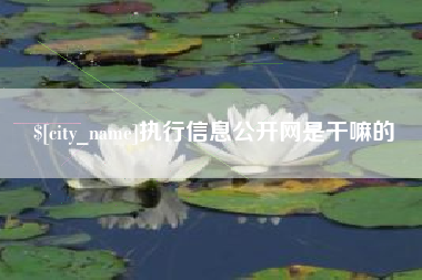 张家界执行信息公开网是干嘛的