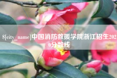 张家界中国消防救援学院浙江招生2020分数线