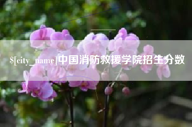 张家界中国消防救援学院招生分数