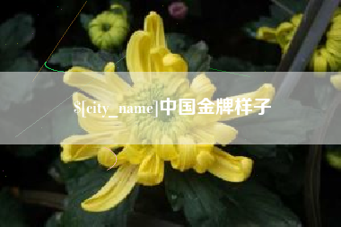 张家界中国金牌样子