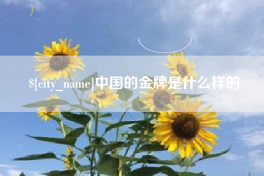 张家界中国的金牌是什么样的