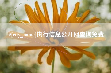 张家界执行信息公开网查询免费