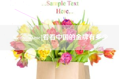 张家界看看中国的金牌有多少